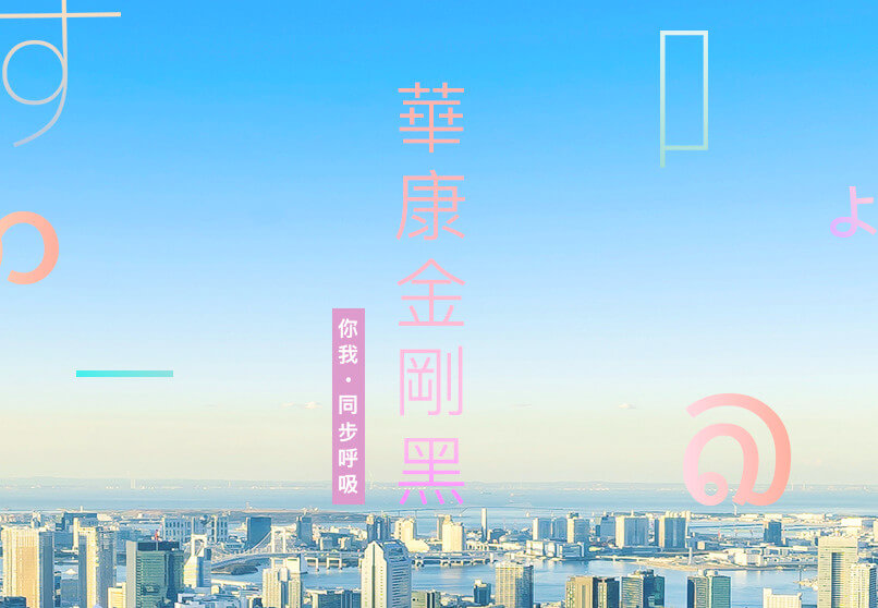 華康字型 DynaComware